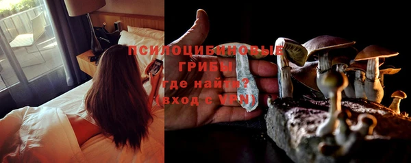 молекула духа Михайловск