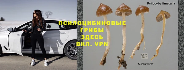 молекула духа Михайловск