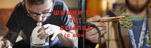молекула духа Михайловск