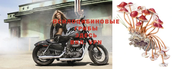 Альфа ПВП Михайлов